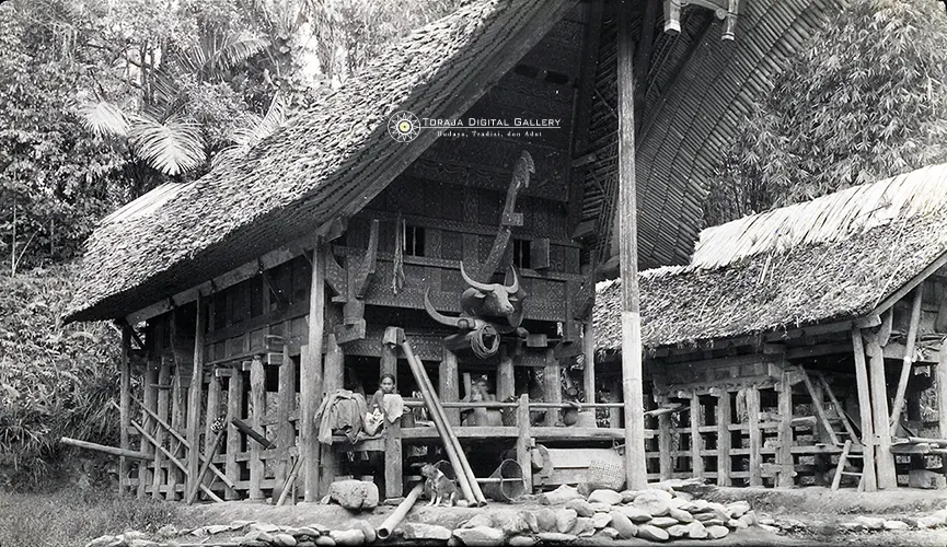Rumah Adat Tradisional Toraja (Tongkonan)